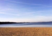 Warnung vor Zerkarien im Badewasser der Schweriner Seen