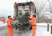 Termine für Weihnachtsbaumentsorgung 2026