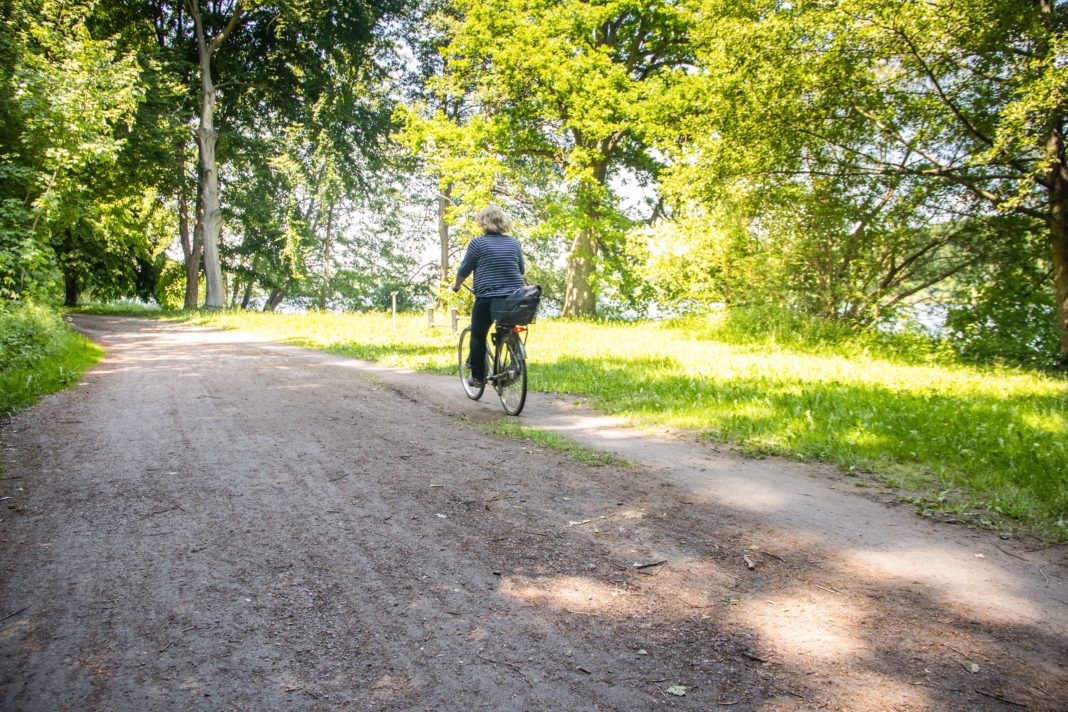 Umgestaltung Radweg am Faulen See | 1