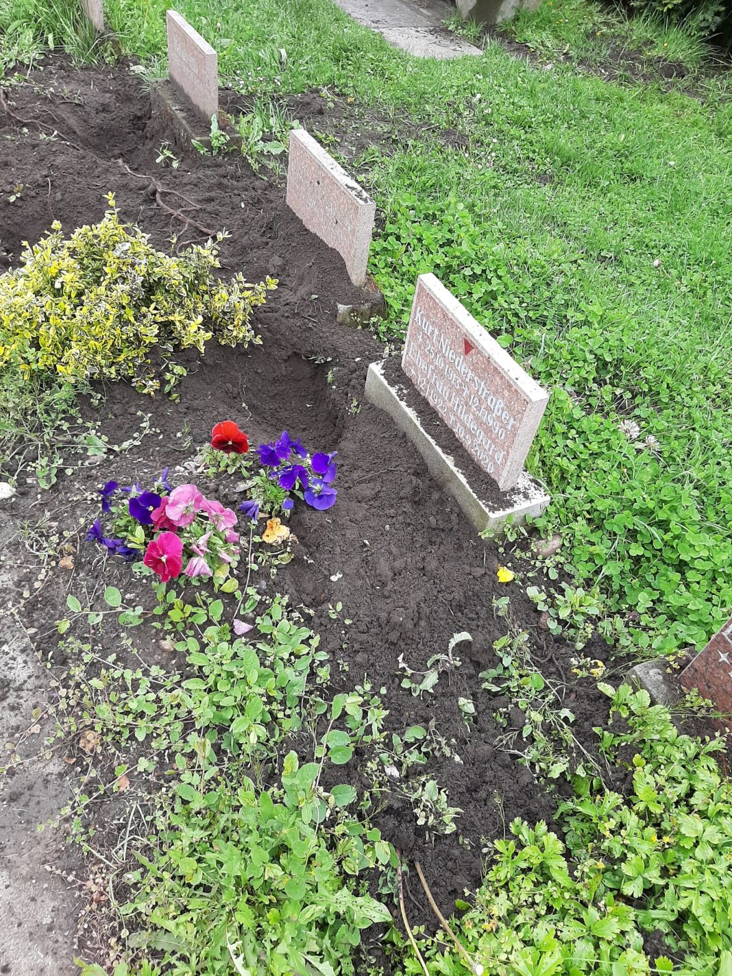 Vandalismus auf dem Friedhof der Opfer des Faschismus | 1