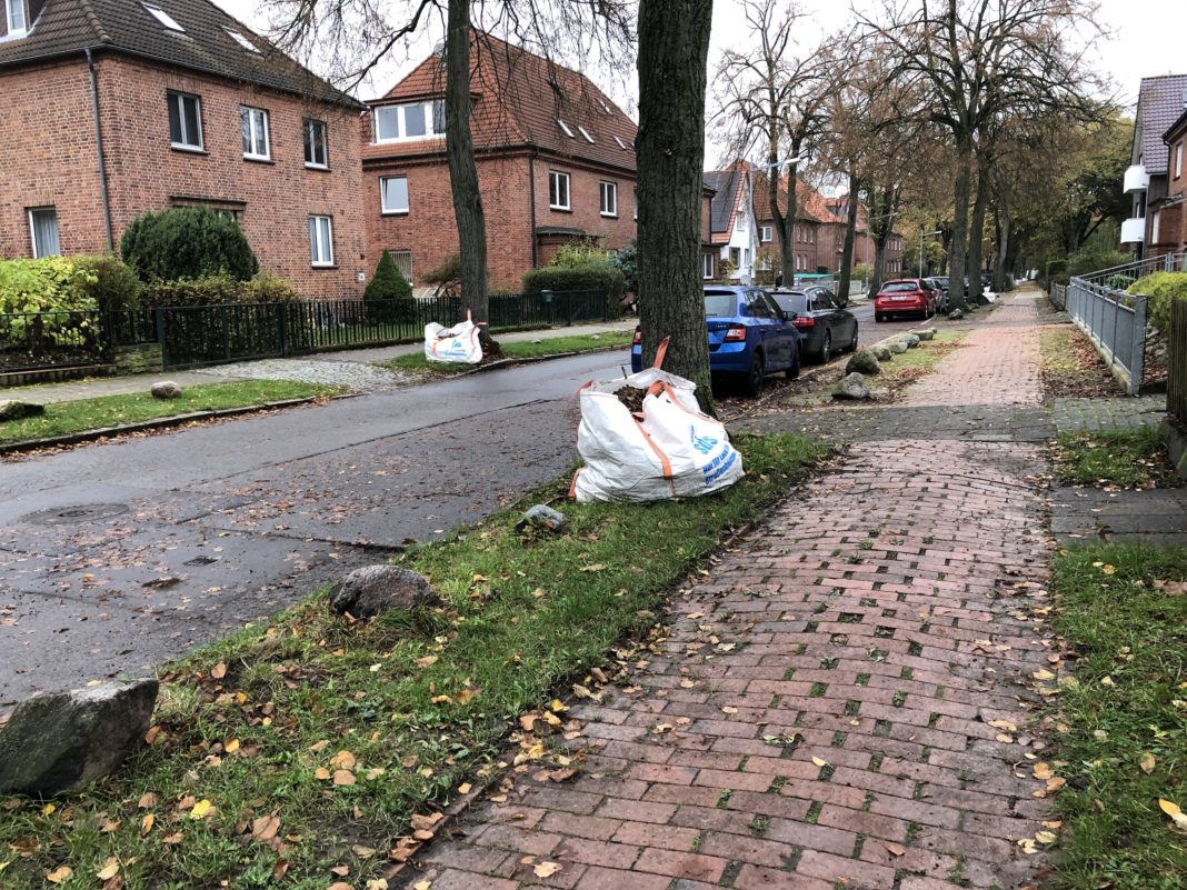 BigBags unterstützen beim Entfernen von Herbstlaub auf den Straßen | 1