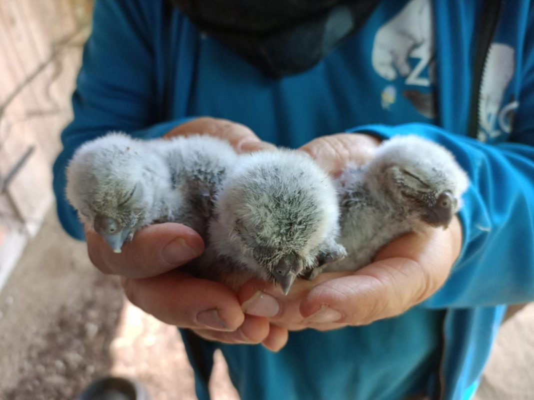 Universität und Zoo wollen weiter eng zusammenarbeiten | 1