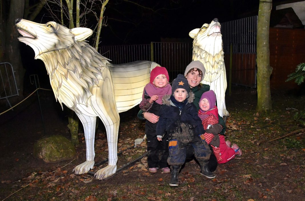 Tierische Verstärkung für die Rostocker Zoolights | 2