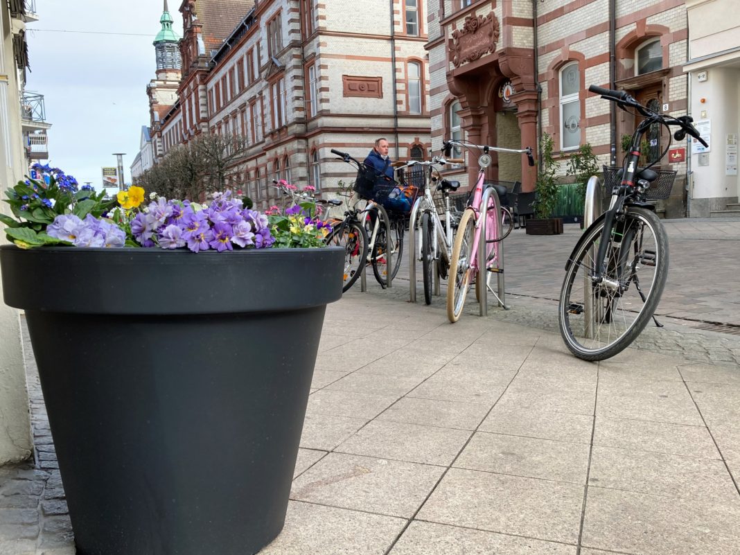 Start in den Frühling mit „Schwerin blüht auf“ | 1