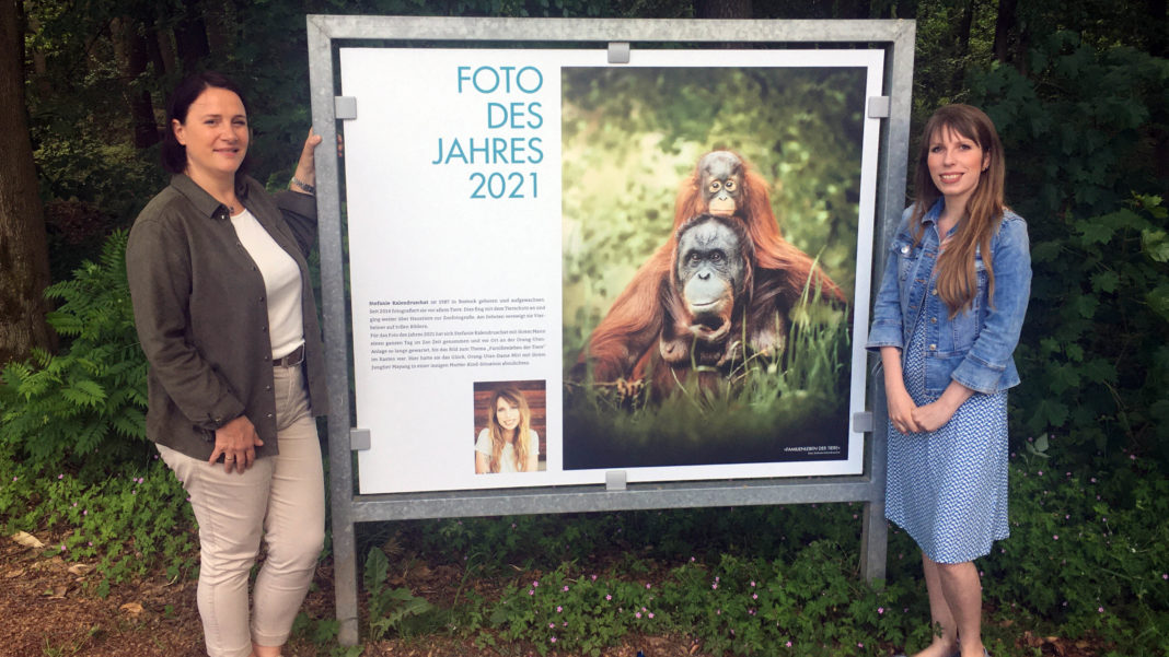 Foto des Jahres 2021 im Zoo Rostock gekürt | 1