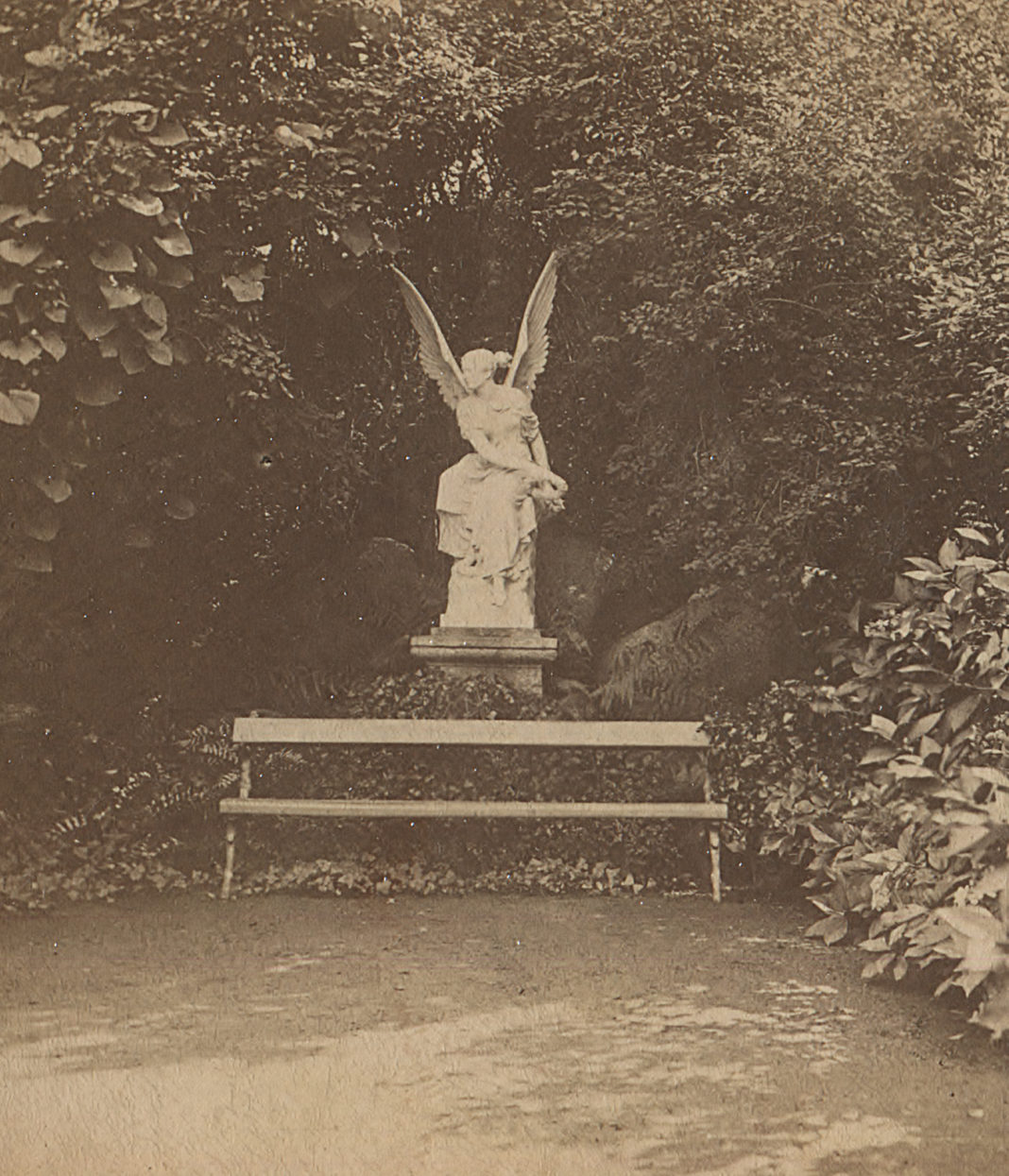 Eine dritte Viktoria für den Burggarten am Schweriner Schloss | 1