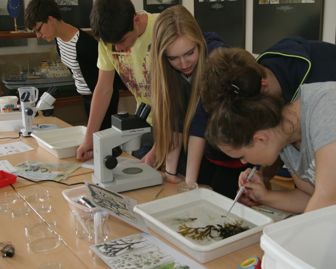 Workshops im OZEANEUM Stralsund laden zum Mitmachen ein | 1