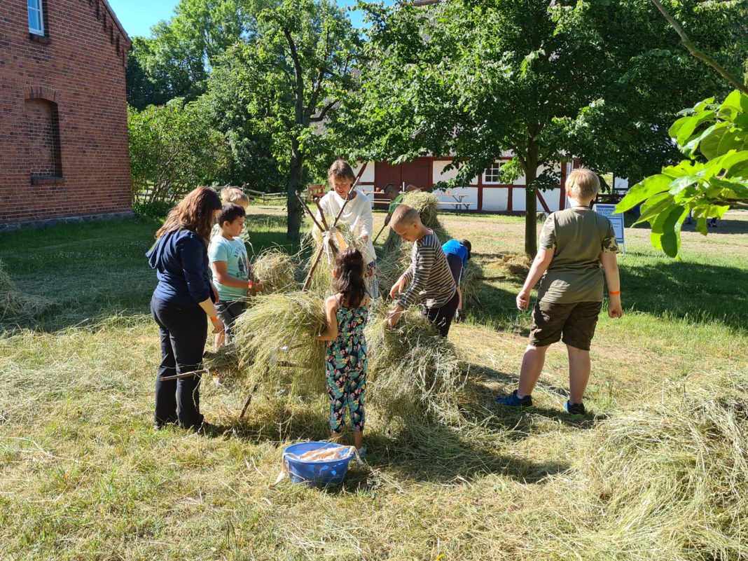 Sommerferientag mit Aktionen im Mueßer Freilichtmuseum | 1