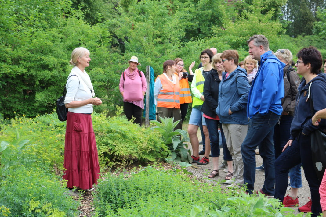 Die Wilden am Wegesrand | 1