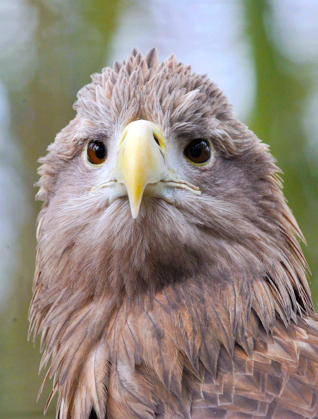 Letzte Sonntagsführung des Jahres im Zoo | 1