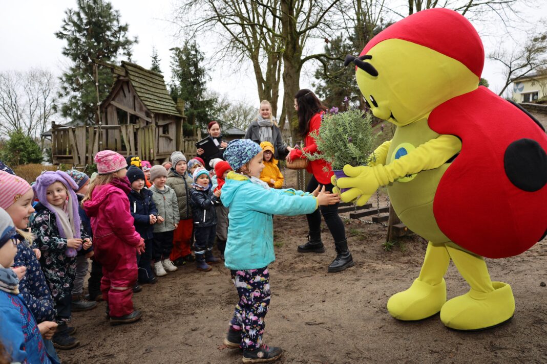 Käfer Fiete auf Nachhaltigkeitsmission | 1