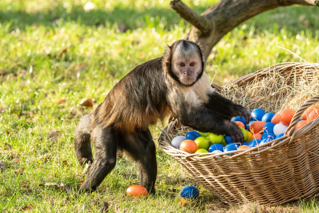 Ostern im Zoo mit großem Osterrätsel | 1