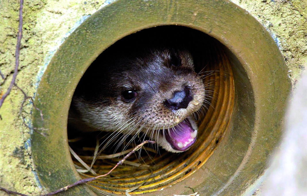 Kindertag im Zoo Rostock | 1