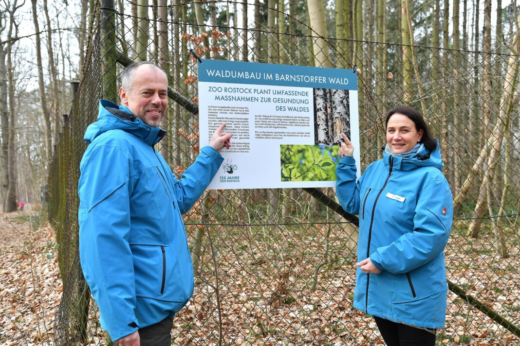 Geplanter Waldumbau im Barnstorfer Wald | 1