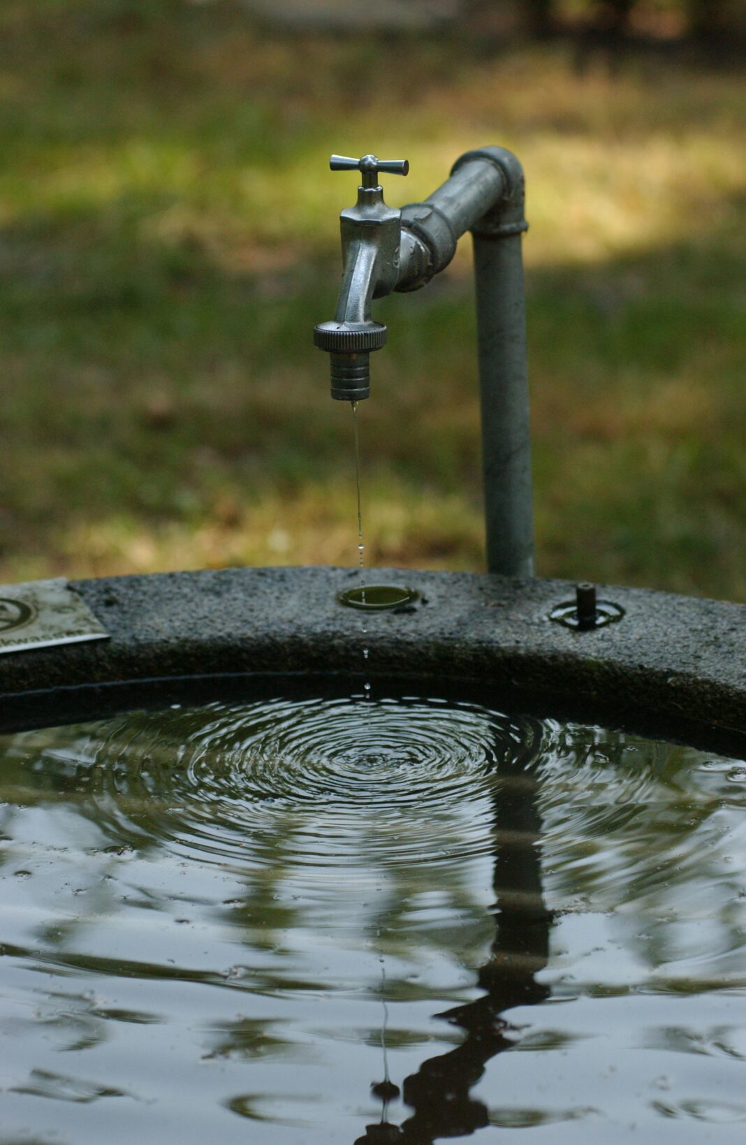 Wieder Wasser auf dem Friedhof | 1