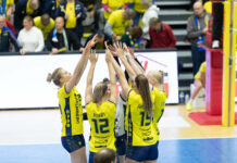 Schwerin siegt mit 3:0 vor eigener Kulisse