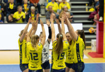 Schwerin gewinnt auch das dritte Heimspiel mit 3:0