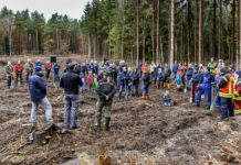 Mehr als 2.000 Bäume für den nächsten WEMAG-Zukunftswald gepflanzt