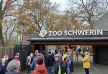 Anpacken beim öffentlichen Herbstputz im Zoo Schwerin am 15. November