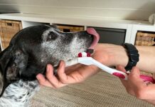 Weniger Stress, mehr Vertrauen