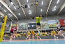 Souveräner 3:0-Sieg des SSC Palmberg Schwerin zum vorweihnachtlichen Abschluss