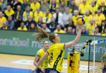 Hochspannung vor dem Pokal-Kracher: Stuttgart empfängt Schwerin