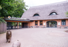 Neue Jahreskartenpreise ab 1. Januar im Zoo Schwerin
