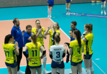 Schwerin holt Punkt gegen polnischen Meister