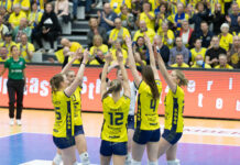 Schwerin feiert umkämpften Heimsieg gegen Pokalsieger Suhl