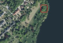 Fällungen im nördlichen Teil des Sachsenberges