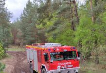 Übung simuliert Waldbrand mit Munitionsbelastung