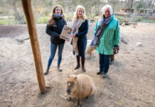 Flotte Partnerschaft: Zoo Schwerin und WEISSE FLOTTE wollen künftig enger zusammenarbeiten