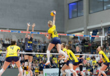 SSC unterliegt Suhl im Halbfinale und verpasst den Finaleinzug