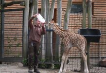70 Jahre Zoo Schwerin