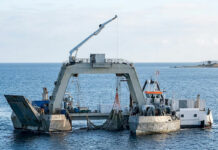 Wal-Drama in der Ostsee: Neue Hoffnung für “Timmy“!