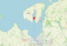 Tragödie in der Ostsee: Umweltminister Backhaus will Buckelwal „Timmy“ nicht töten