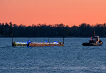 Das Leben gewinnt: „Timmy“ on Tour! – Buckelwal ist unterwegs nach Hause