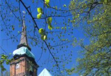 Benefizkonzert für „Denkmal in Not“: Hilfe für die Schweriner Schelfkirche