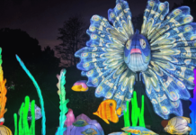 Wild Lights feiern Premiere im Zoo Schwerin